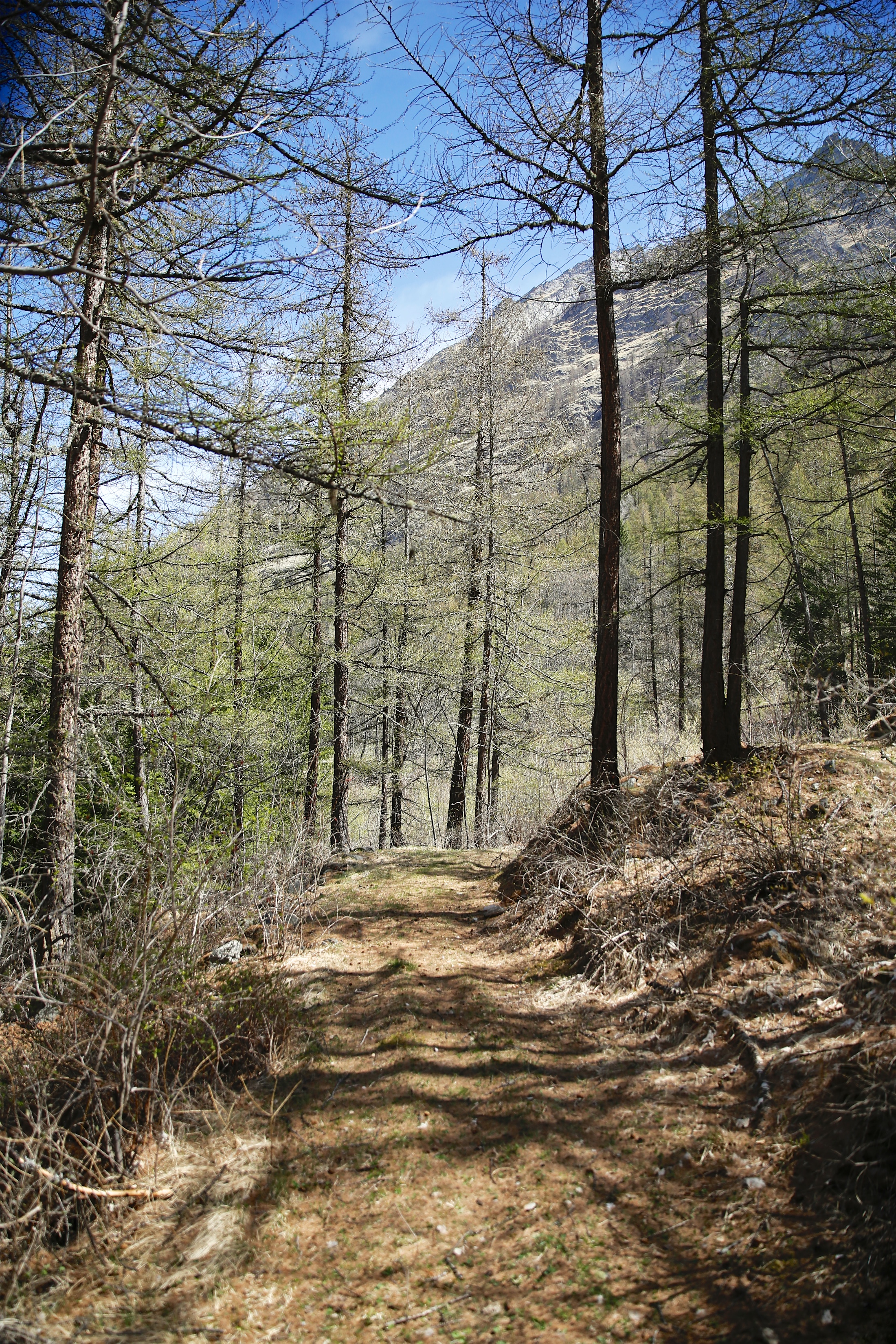 Federparchi e Fondazione UNA insieme per le specie protette Federparchi e Fondazione UNA insieme per le specie protette