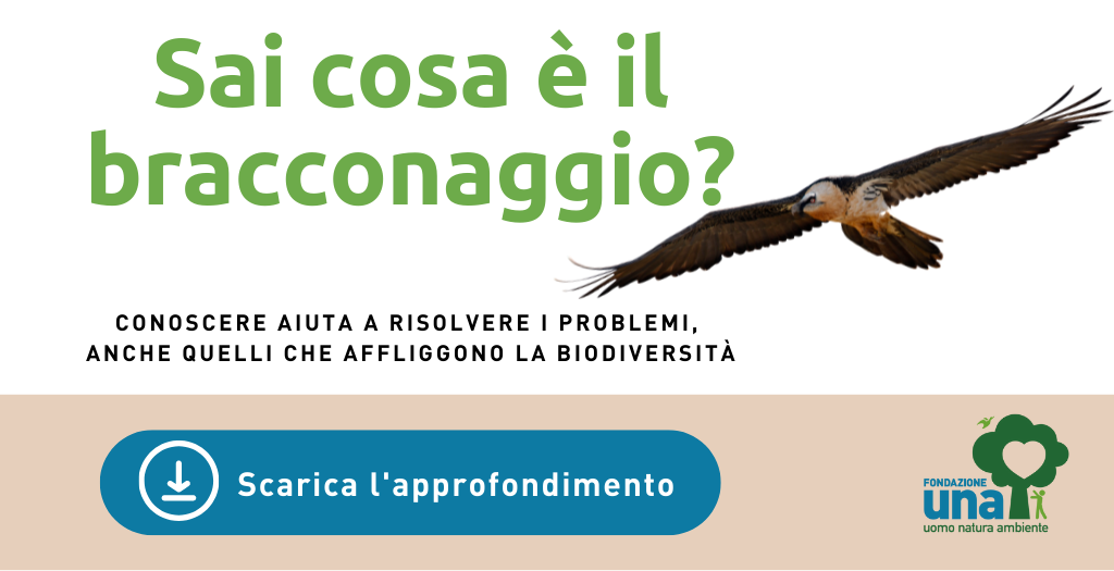 La caccia di selezione: un valido strumento per mantenere l’equilibrio ambientale La caccia di selezione: un valido strumento per mantenere l’equilibrio ambientale