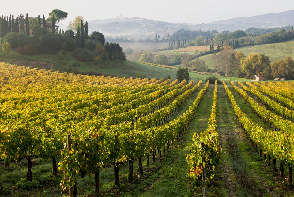 fondazioneuna-fondazione-3-1 La fondazione