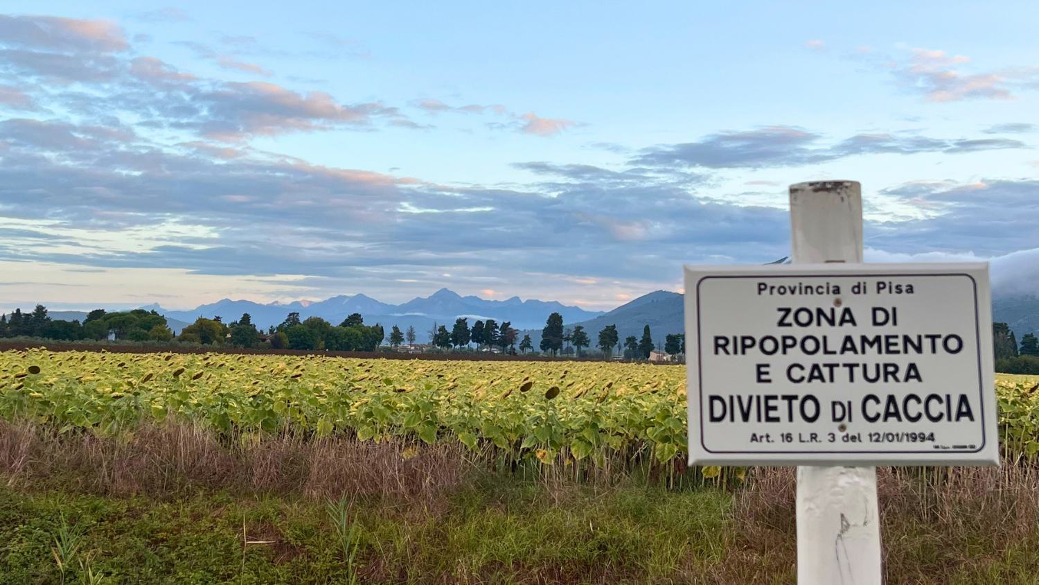 Come riconoscere le zone di divieto di caccia?