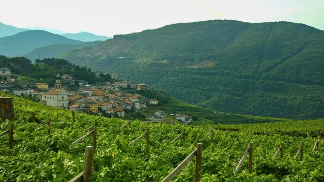 Come la cultura della gestione della natura aiuta l'ambiente